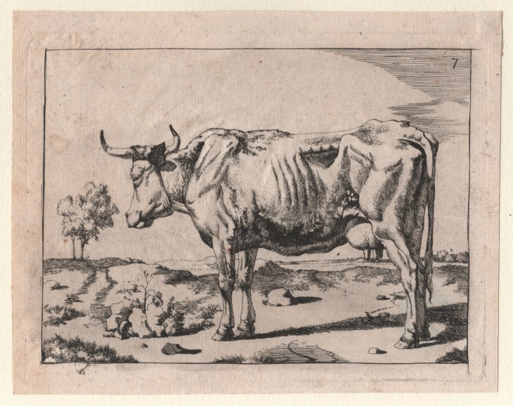 Marcus de Bye (1639 - nach 1688) - [Art. D101] – 01