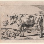 Marcus de Bye (1639 - nach 1688) - [Art. D101]